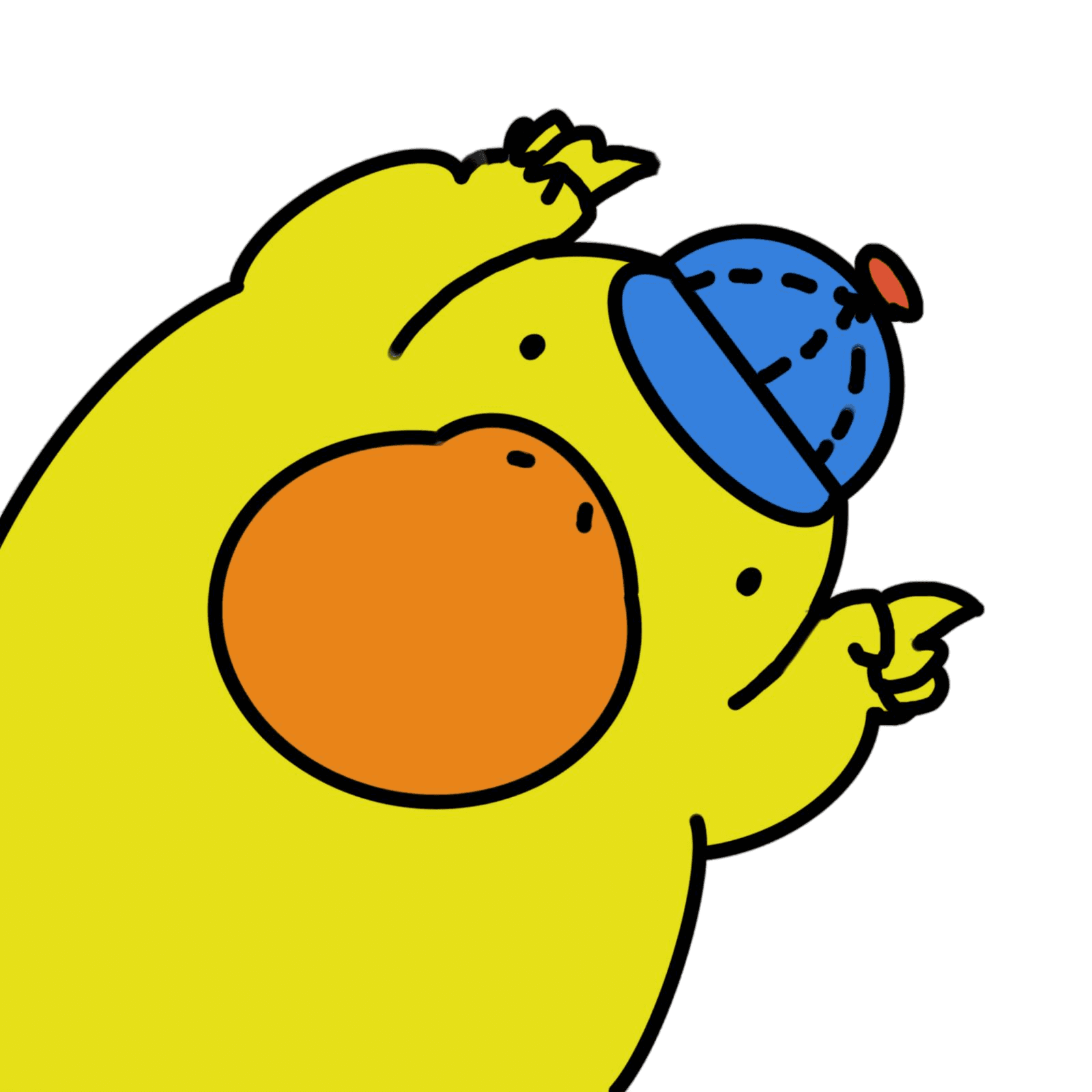 duck