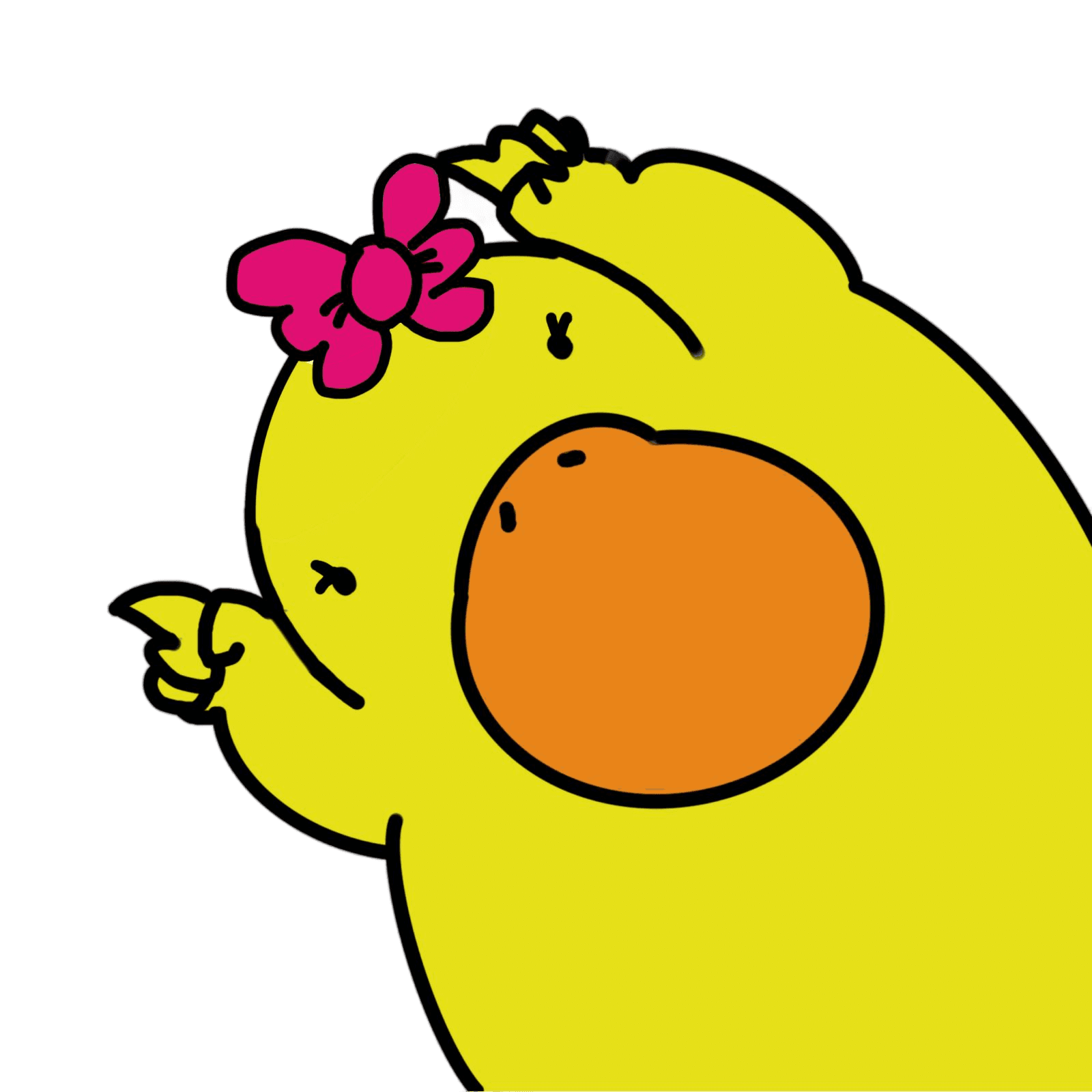 duck