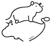 MXYYC logo